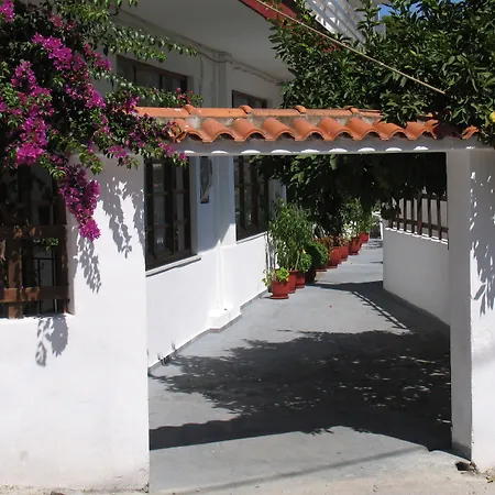 Guest house Julieta's House Patitiri (Alonnisos)